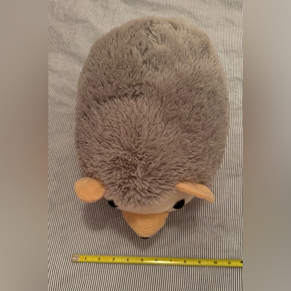 Super adorable hedgehog - Picture 3 of 4